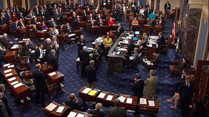 A vote takes place on the US Senate floor, symbolizing the necessity of the state to maintain the universal destination of goods