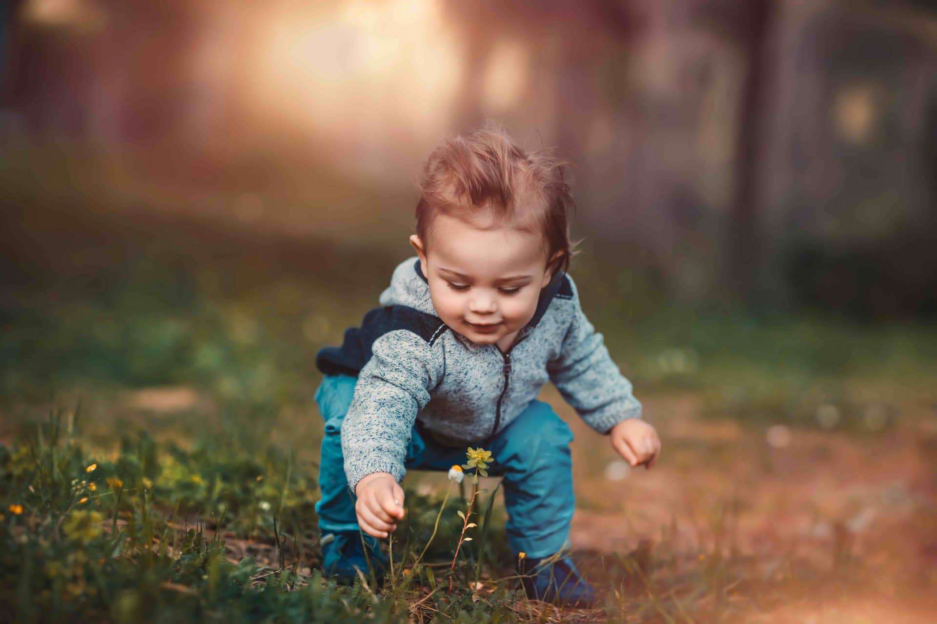 A child stoops to pick up a flower, representing the human family that integral ecology focuses upon