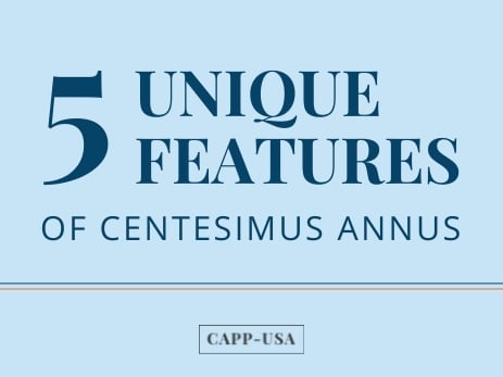 A Catholic social teaching infographic dedicated to 5 unique features of CAPP's namesake. 