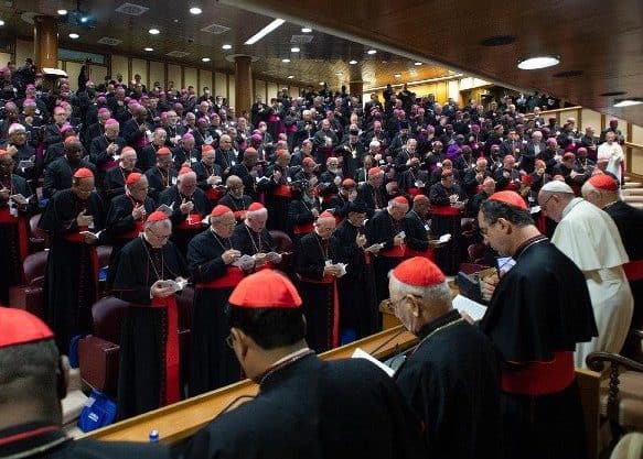 Bishops gather in synod.