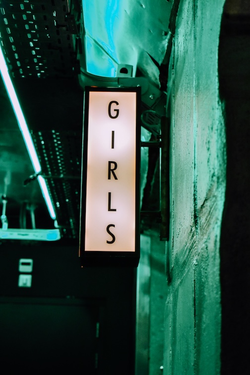 Pornography is one of the most corrosive forces now acting on that human environment.